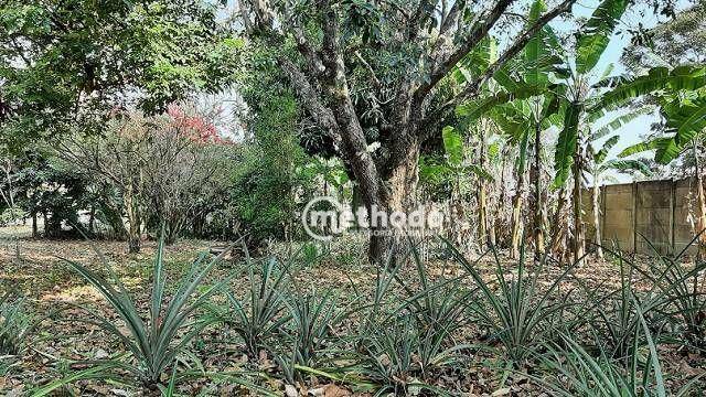 Chácara à venda com 3 quartos, 300m² - Foto 22