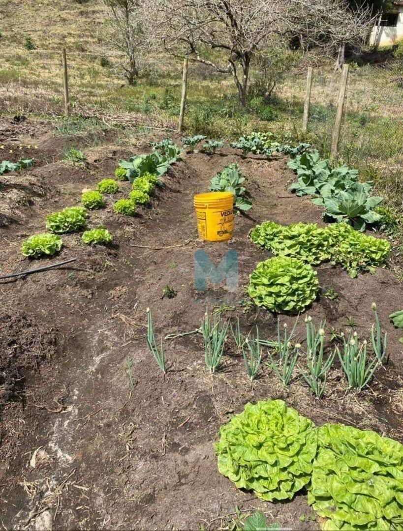 Fazenda à venda com 1 quarto, 80m² - Foto 9