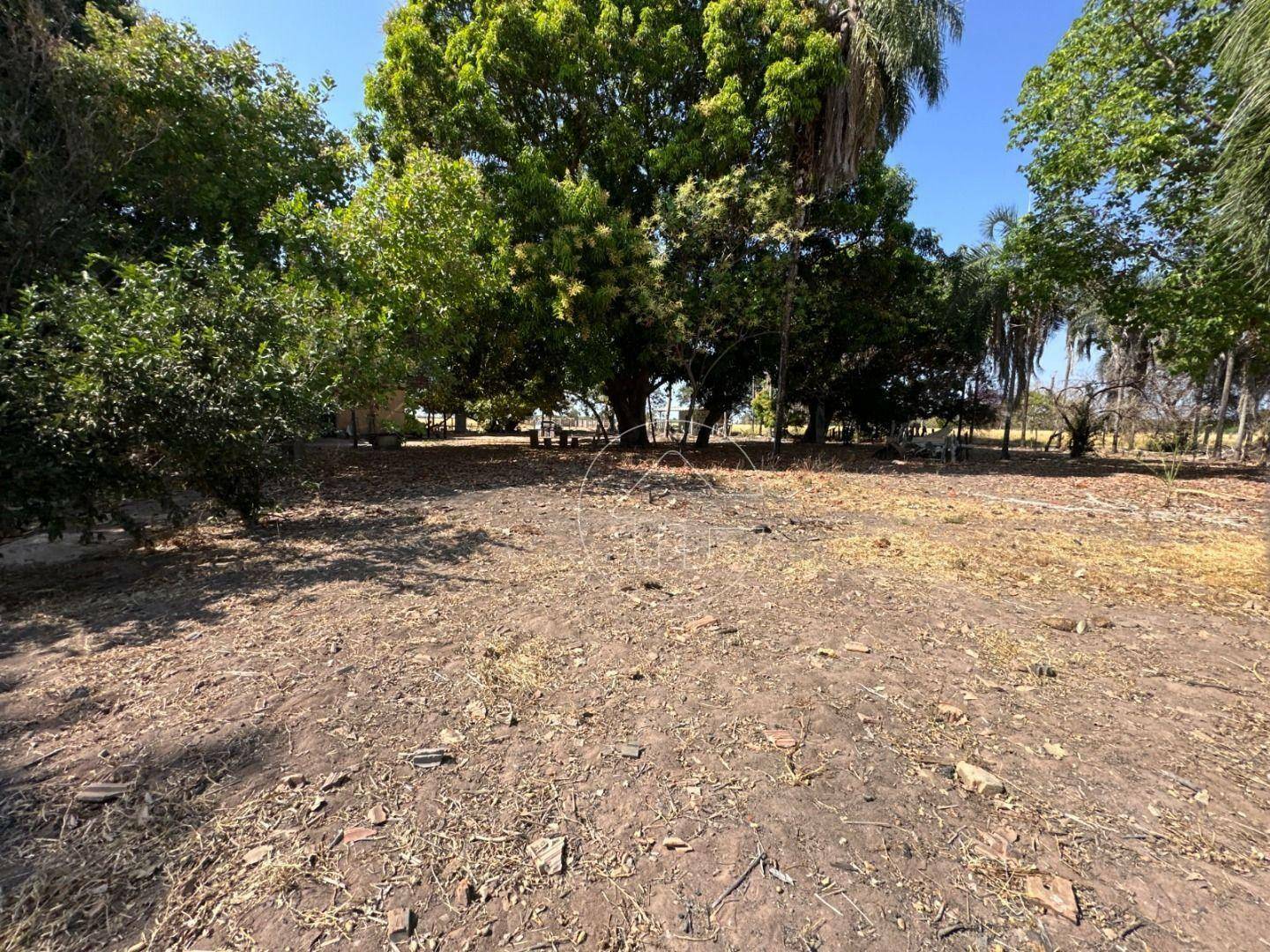 Fazenda à venda, 1000000M2 - Foto 6