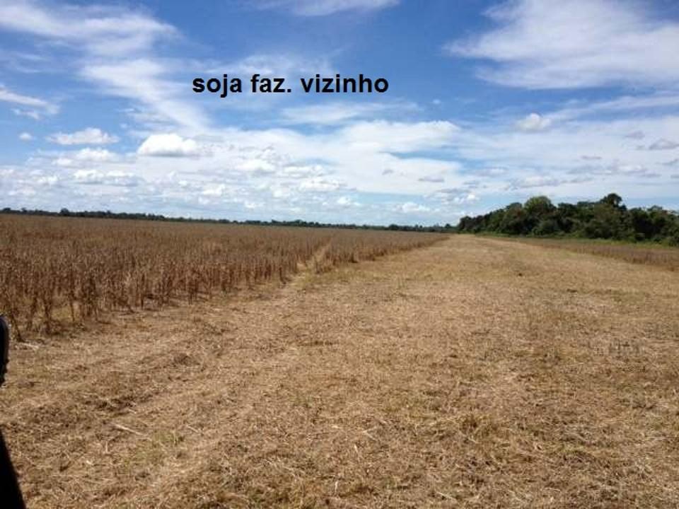 Fazenda à venda, 430000M2 - Foto 23