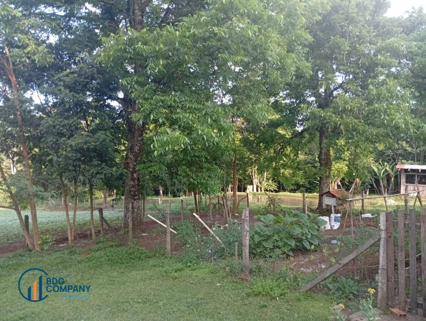 Chácara, 2 quartos, 5445 m² - Foto 8