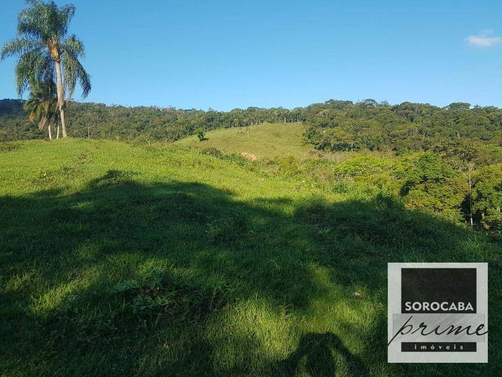 Fazenda à venda, 202000M2 - Foto 30