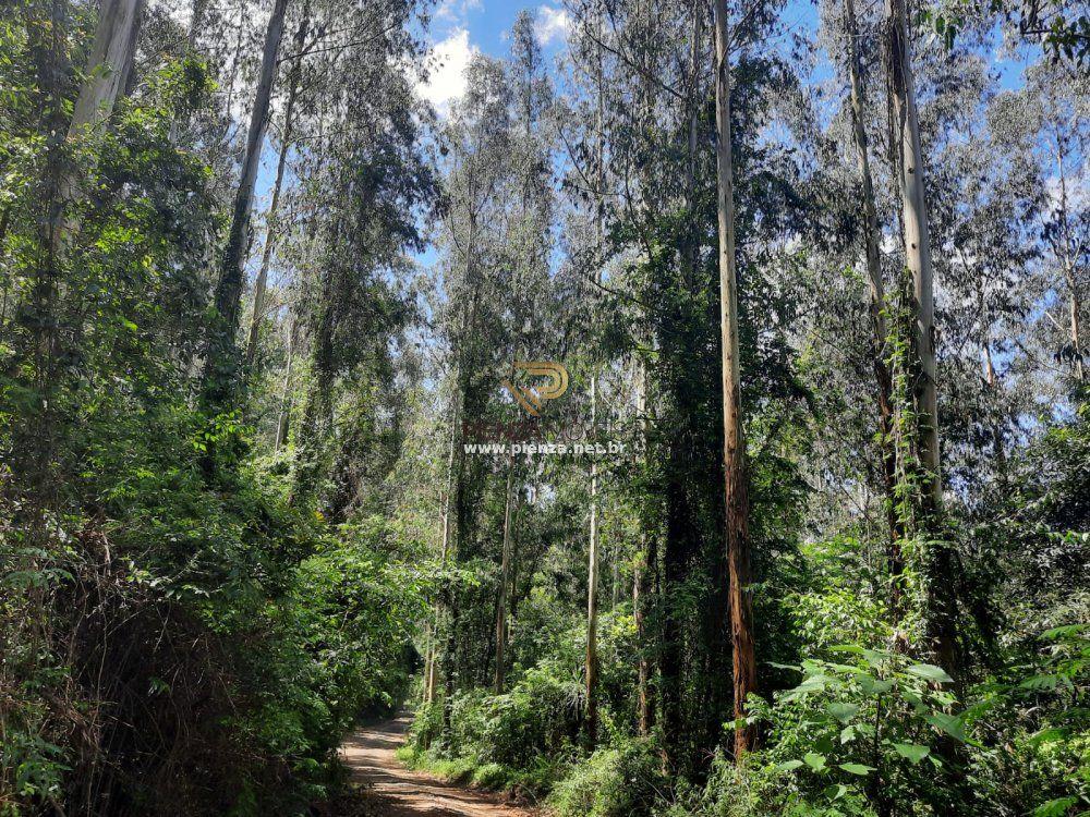 Loteamento e Condomínio à venda, 350000m² - Foto 5