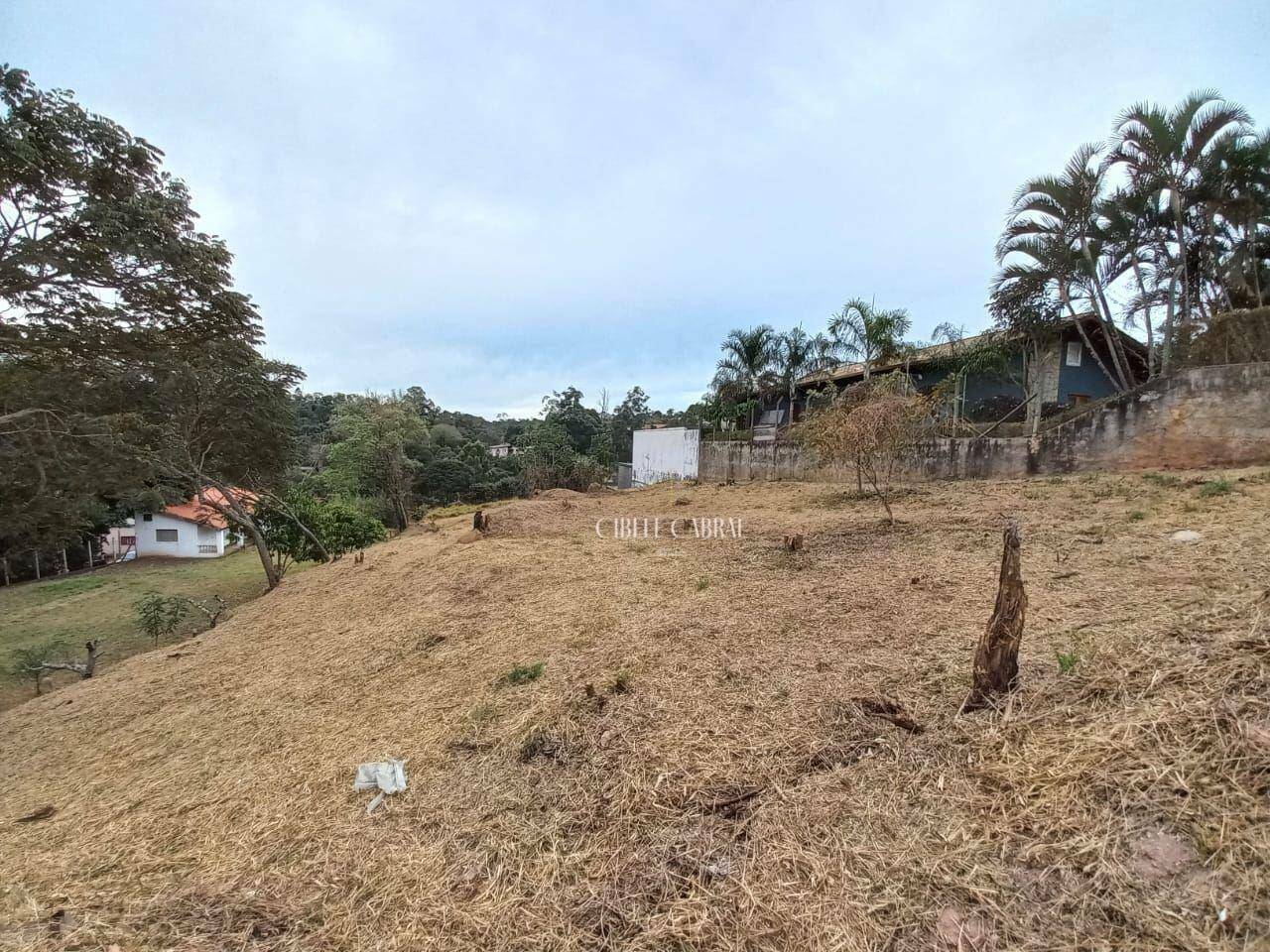 Terreno à venda, 2300M2 - Foto 2