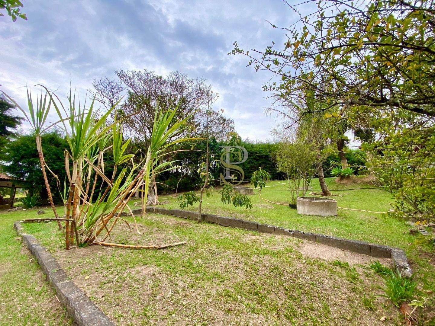 Chácara, 3 quartos, 6050 m² - Foto 27