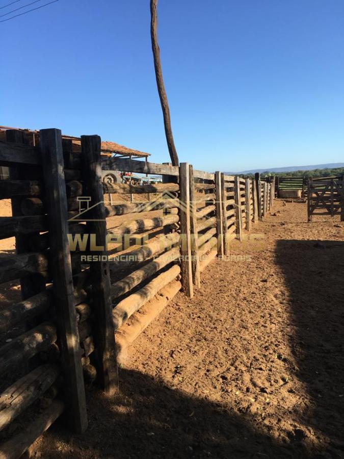 Fazenda à venda, 3100m² - Foto 11