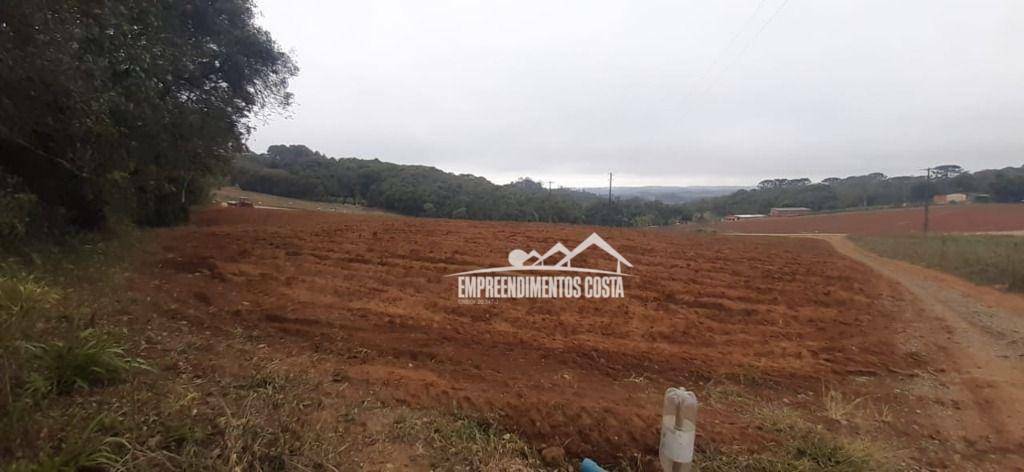 Terreno à venda, 98000M2 - Foto 1