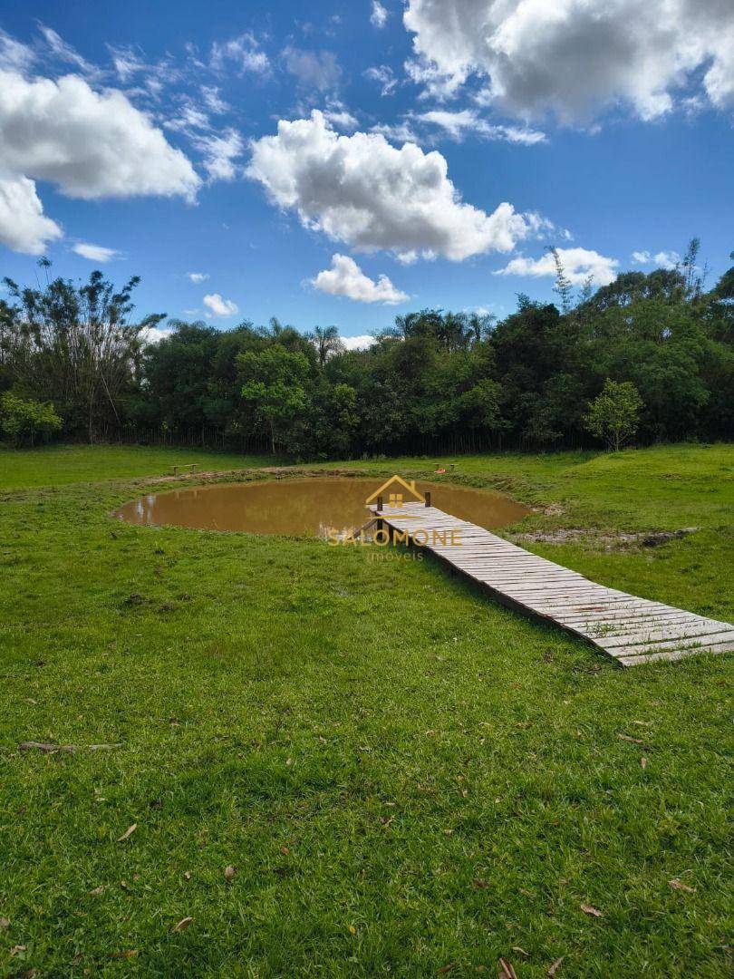 Sítio, 2 quartos, 2 hectares - Foto 5