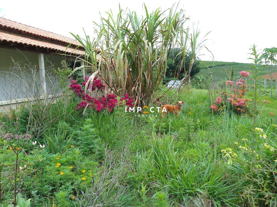 Chácara à venda com 2 quartos, 4000M2 - Foto 11