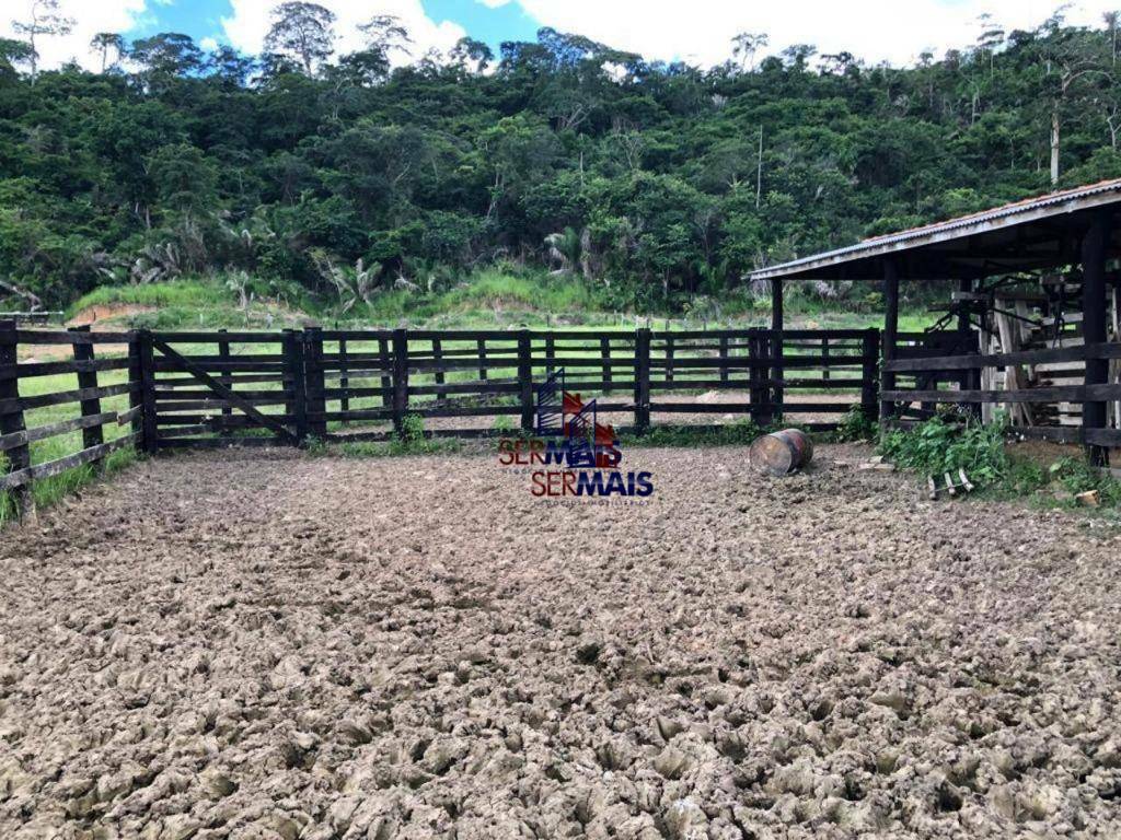 Fazenda-Sítio-Chácara, 1452 hectares - Foto 3