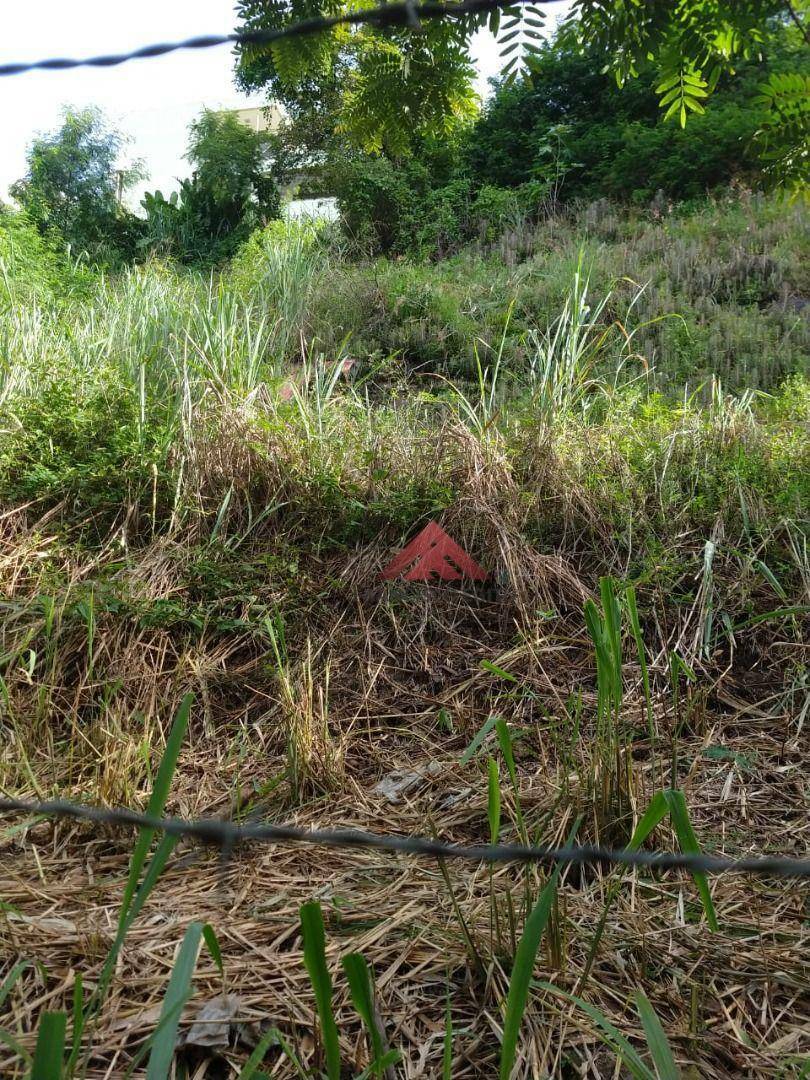 Terreno, 900 m² - Foto 13