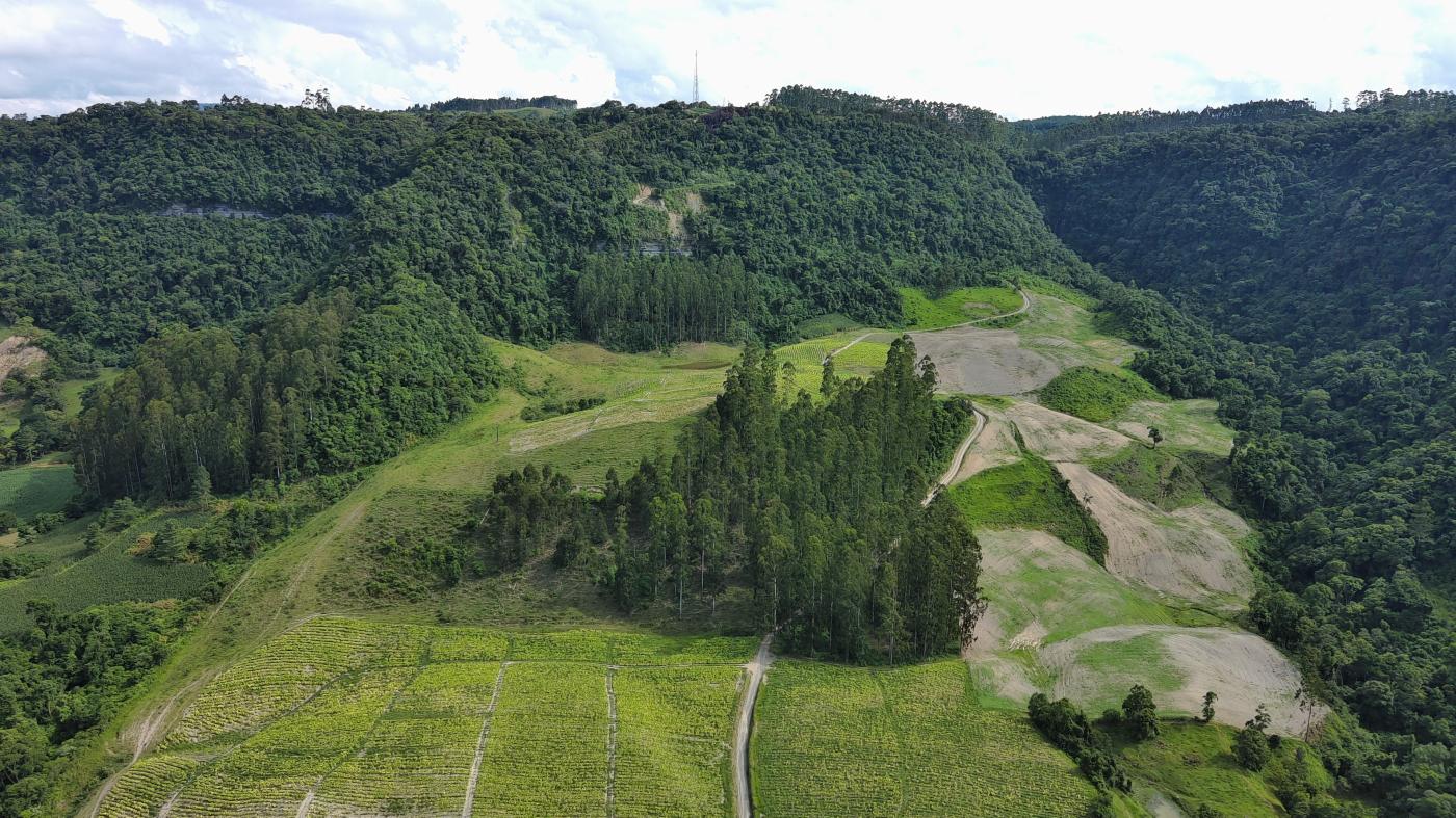 Sítio à venda com 5 quartos, 230000m² - Foto 46
