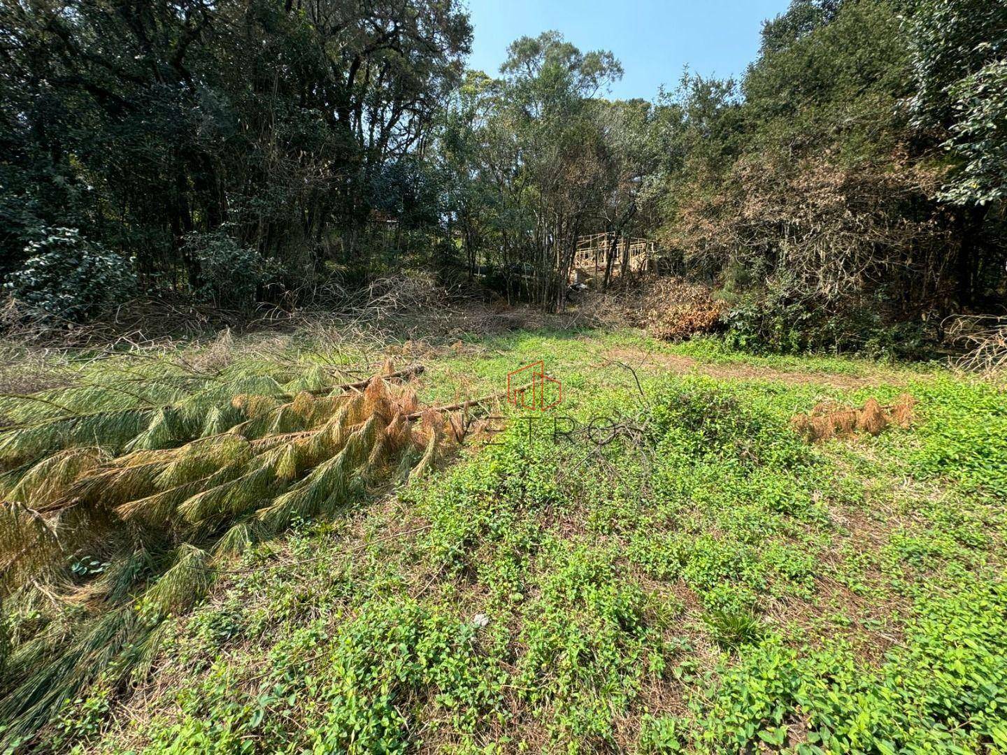 Terreno à venda, 4801M2 - Foto 2