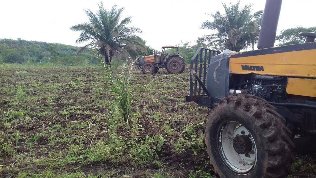 Fazenda à venda, 31460000M2 - Foto 10