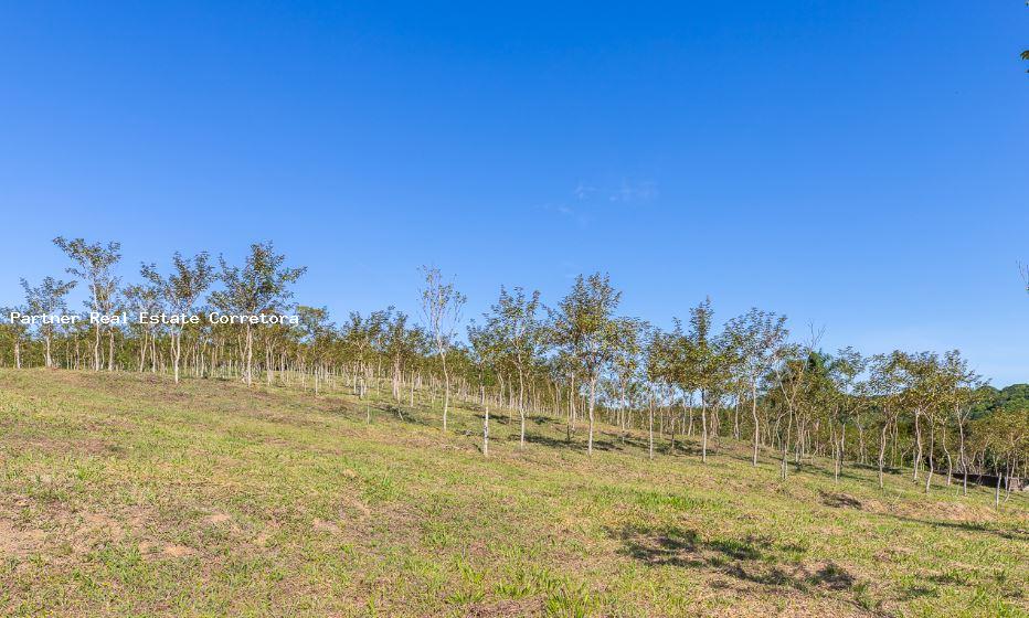 Fazenda à venda com 1 quarto, 2750000m² - Foto 14