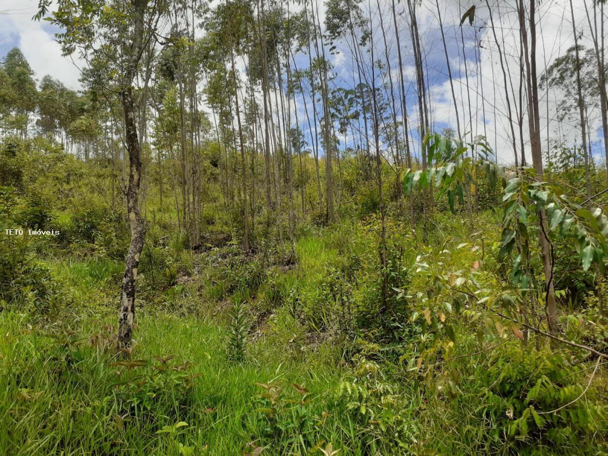 Fazenda à venda, 4m² - Foto 26