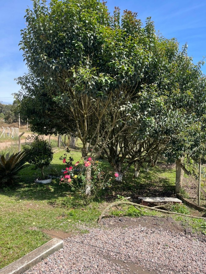 Chácara, 10000 m² - Foto 22