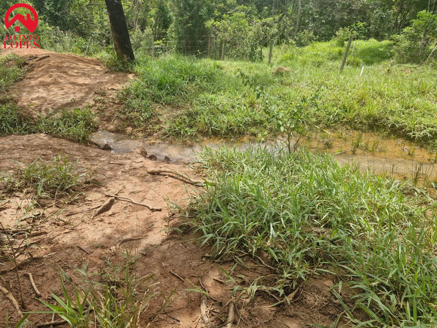 Fazenda à venda com 2 quartos, 120m² - Foto 63