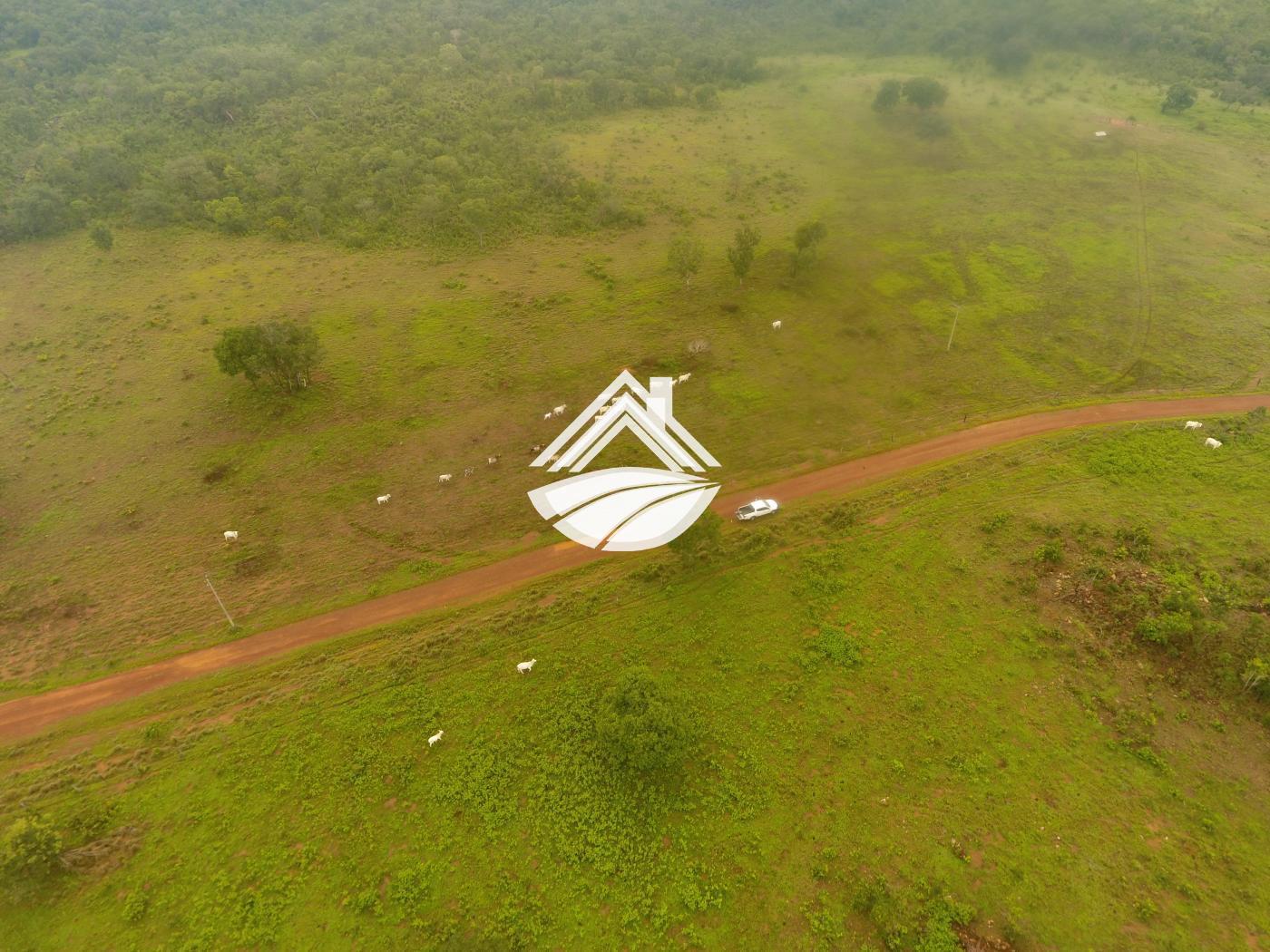 Fazenda-Sítio-Chácara, 1 m² - Foto 5