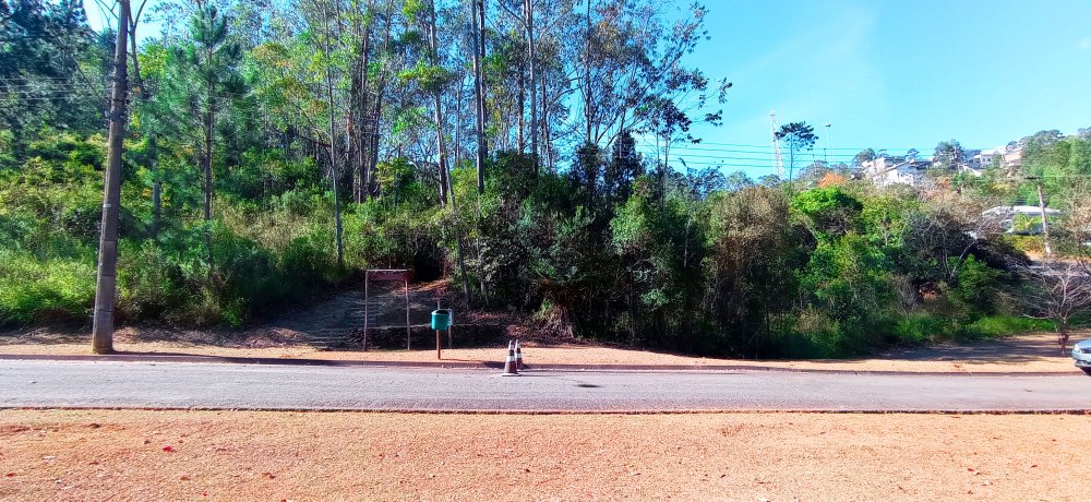 Terreno à venda, 1000m² - Foto 6