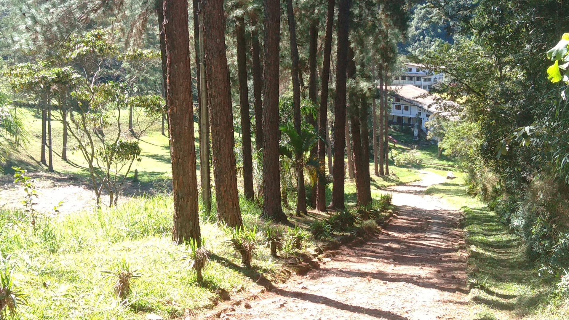 Sítio à venda, 120000M2 - Foto 1