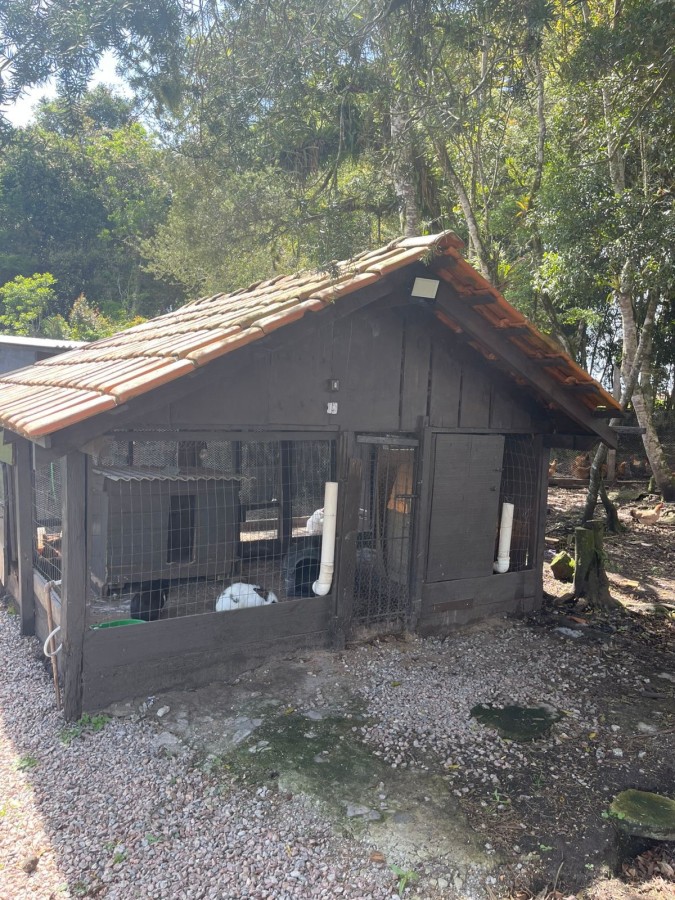 Chácara, 10000 m² - Foto 5