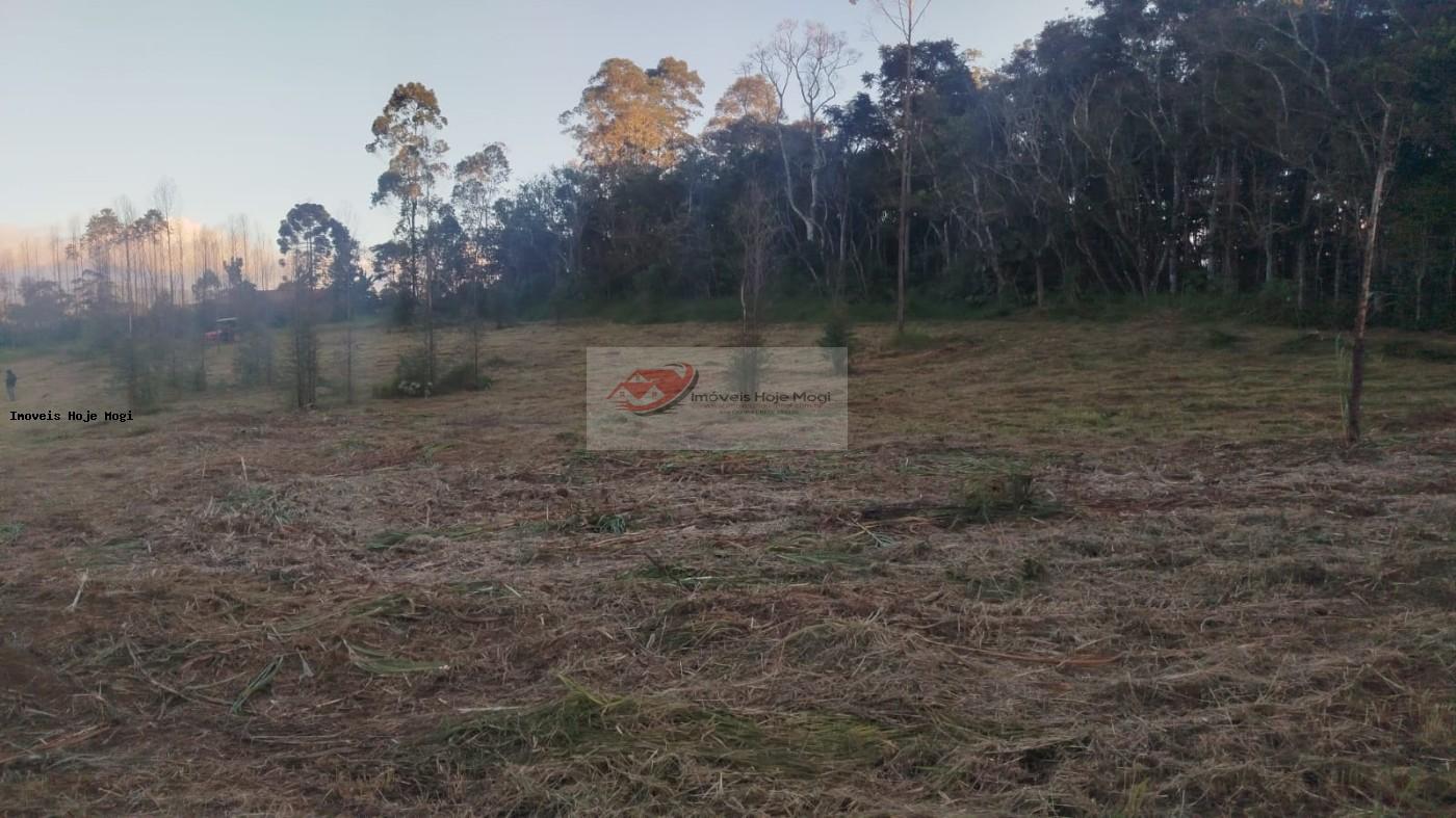 Terreno à venda, 5000m² - Foto 4