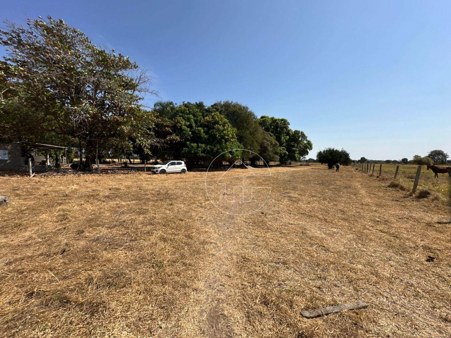 Fazenda à venda, 1000000M2 - Foto 2