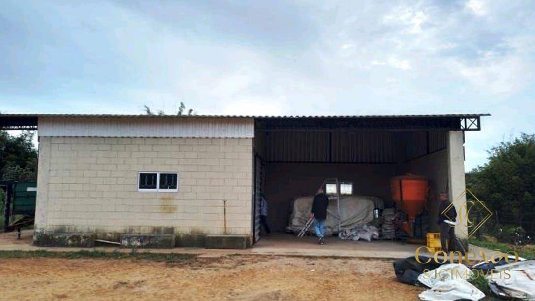 Fazenda, 257 hectares - Foto 11