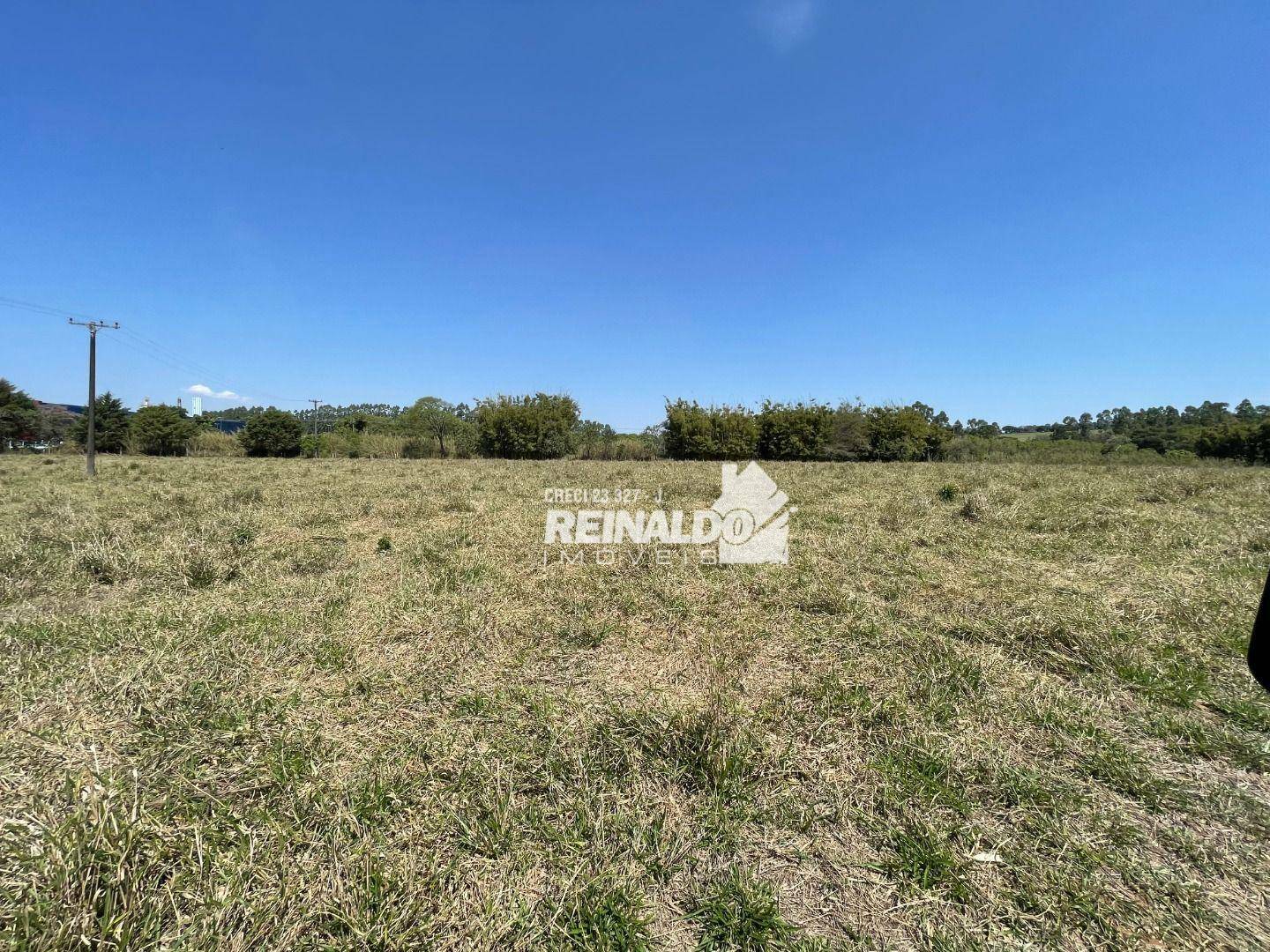 Haras e Área Rural Padrão à venda com 16 quartos, 2500m² - Foto 5