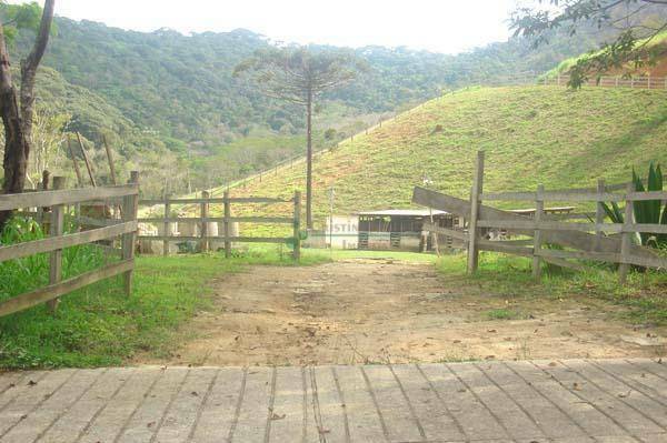 Fazenda à venda com 3 quartos, 500m² - Foto 24