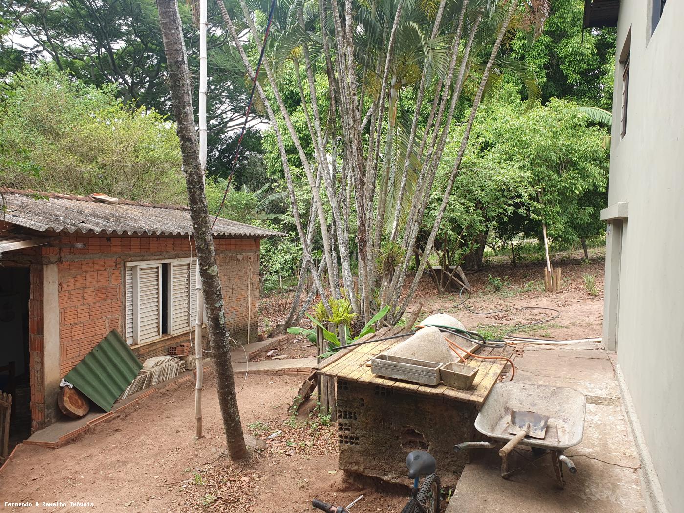 Fazenda à venda com 3 quartos, 80000m² - Foto 20