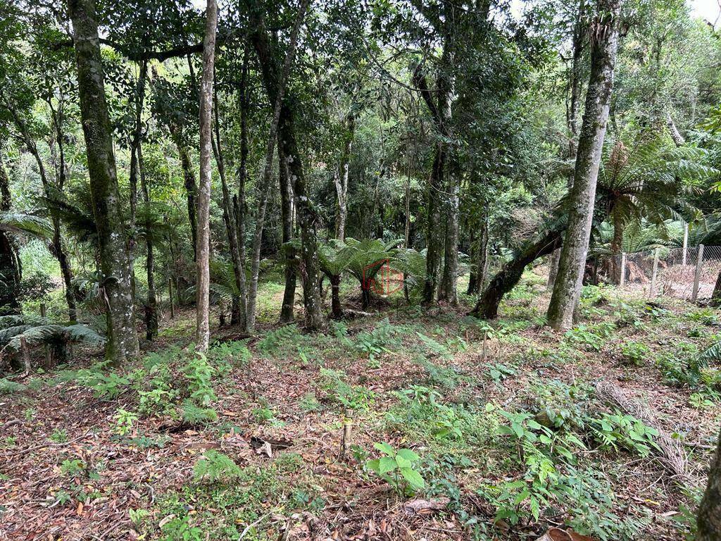 Loteamento e Condomínio à venda, 800M2 - Foto 8