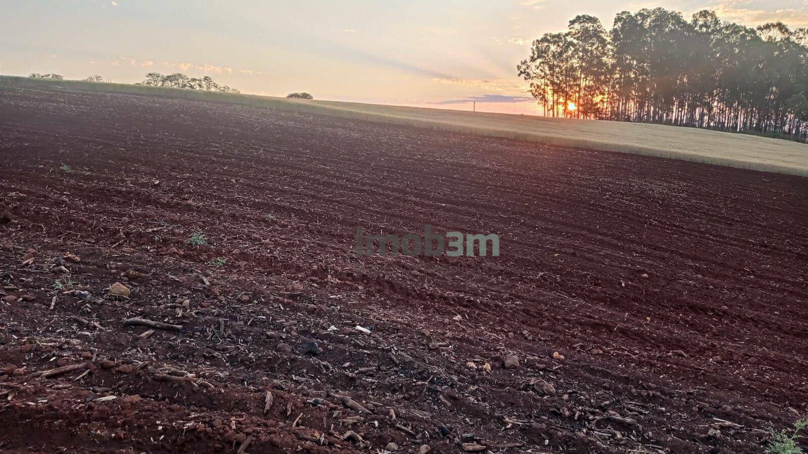 Terreno à venda, 4000M2 - Foto 2