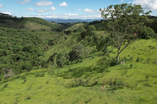 Terreno à venda, 75000M2 - Foto 21