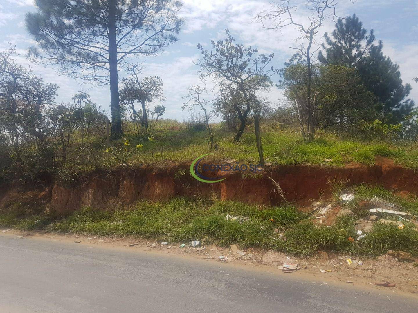 Fazenda à venda com 6 quartos, 1200000M2 - Foto 28