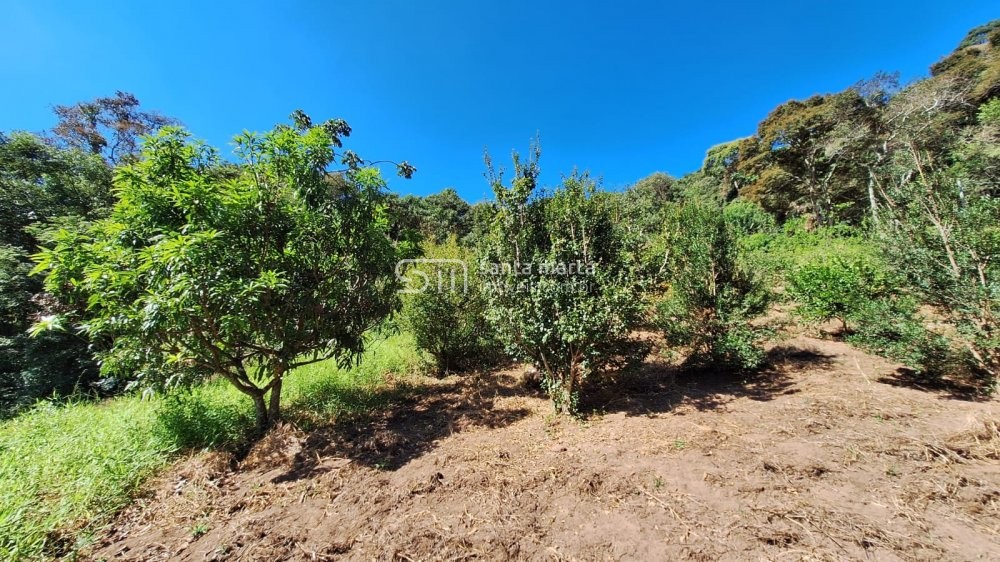 Fazenda à venda com 2 quartos, 24m² - Foto 29