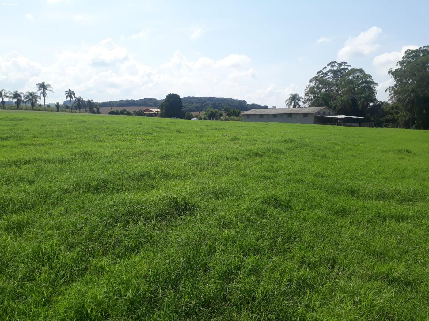Sítio à venda com 2 quartos, 266400m² - Foto 14