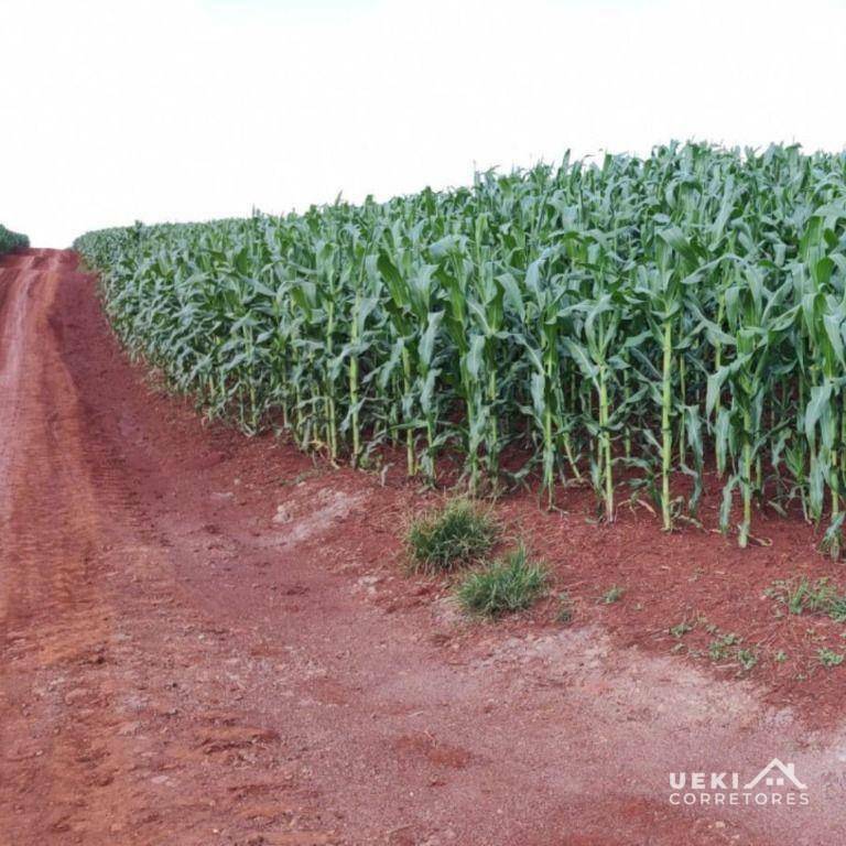 Fazenda-Sítio-Chácara, 104 hectares - Foto 1