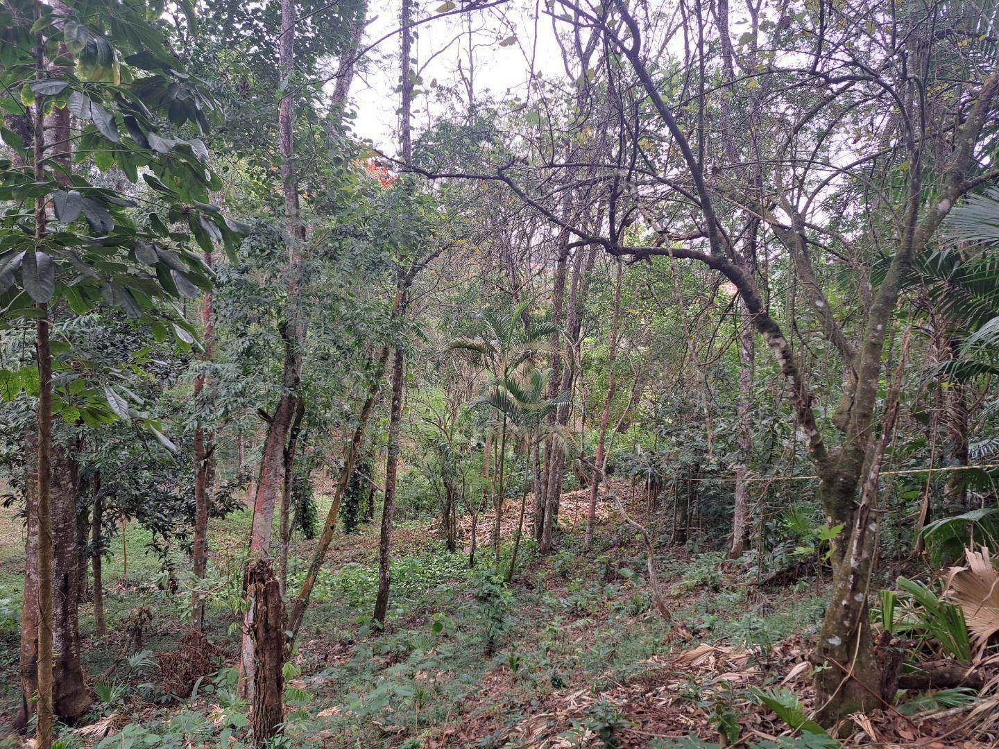 Loteamento e Condomínio à venda, 1030M2 - Foto 9
