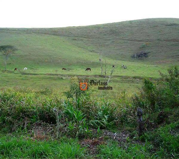 Fazenda à venda com 5 quartos, 1331000M2 - Foto 98