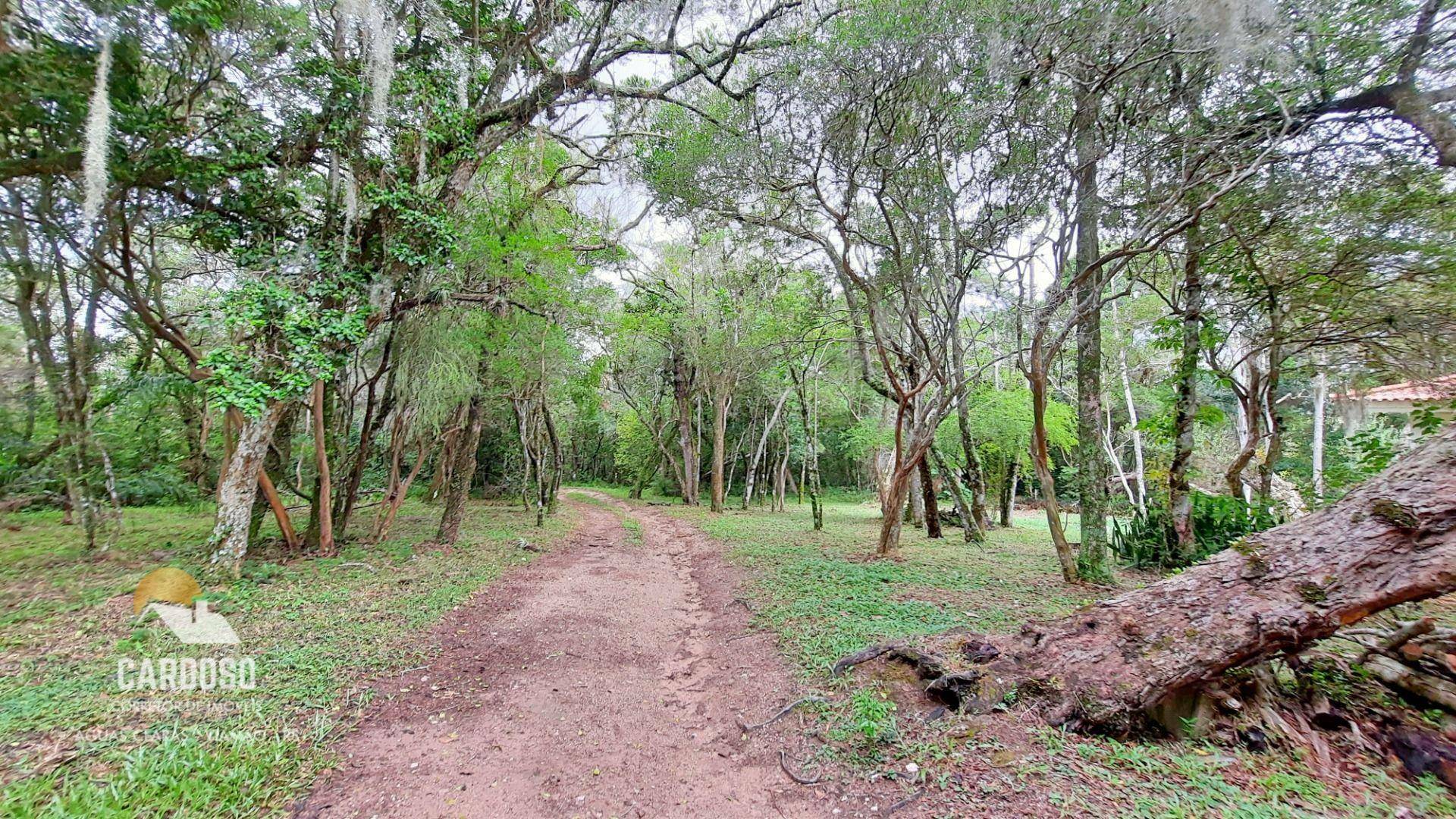 Fazenda à venda, 4620000M2 - Foto 11