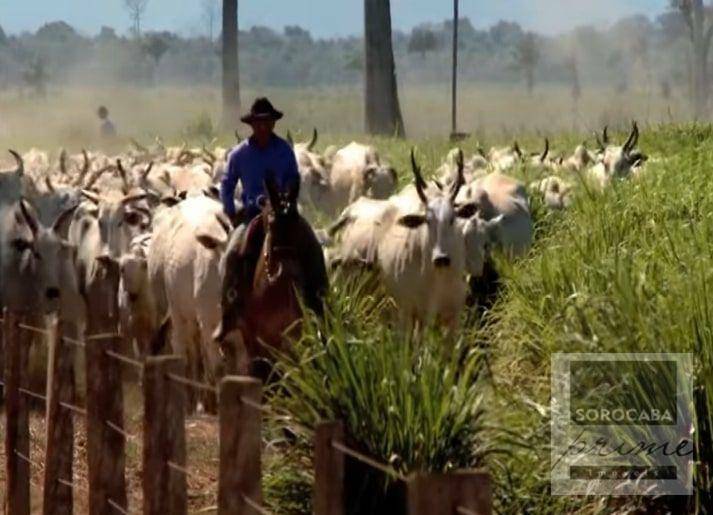 Fazenda à venda, 4270000000M2 - Foto 7