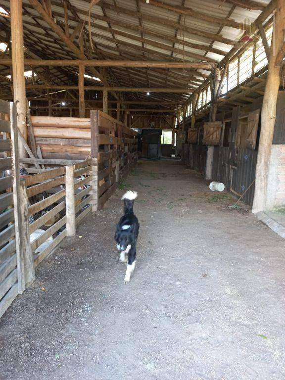 Fazenda à venda, 600000M2 - Foto 10