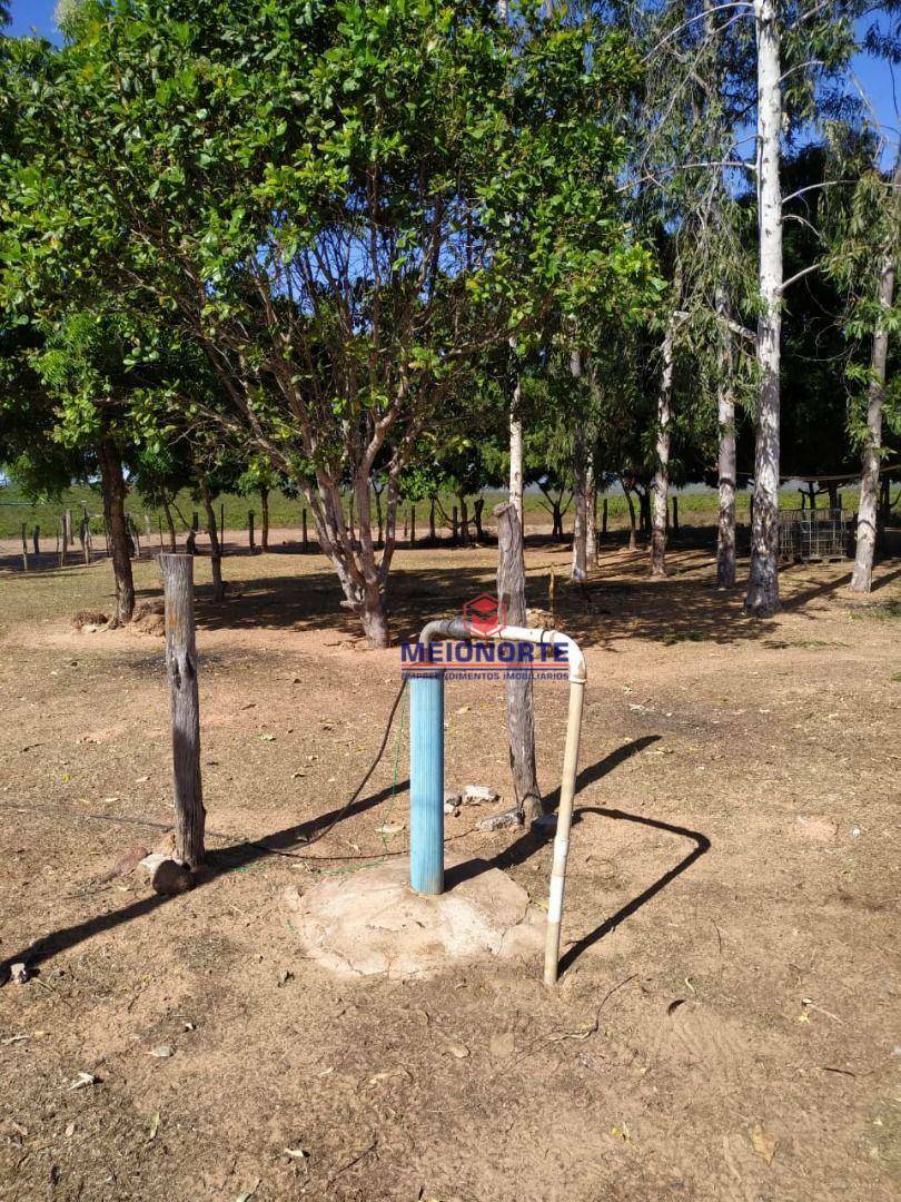 Fazenda à venda com 1 quarto, 17800000M2 - Foto 4