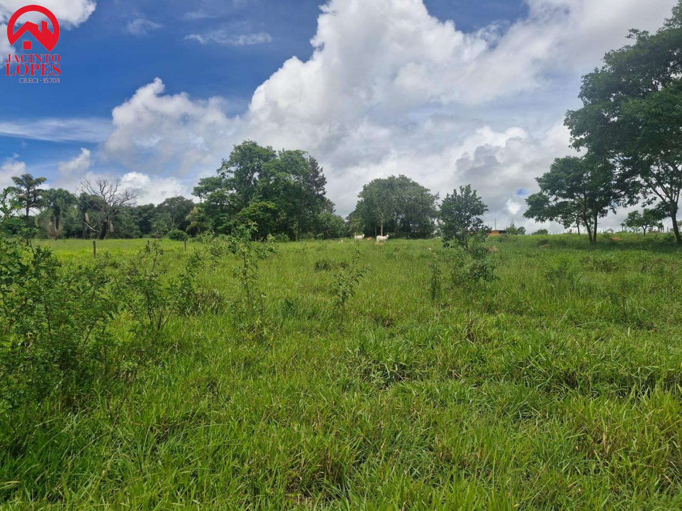 Fazenda à venda com 2 quartos, 120m² - Foto 46