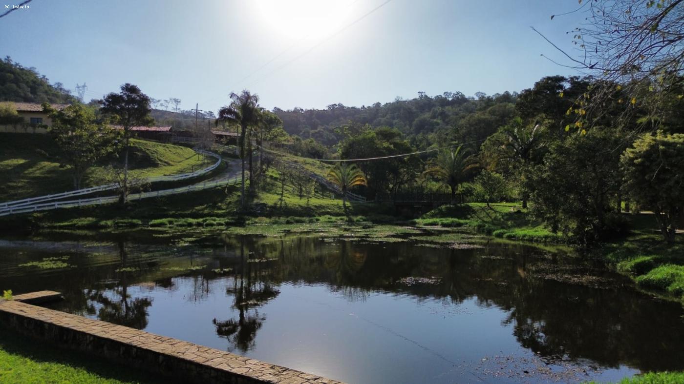 Sítio à venda com 3 quartos, 217800m² - Foto 11