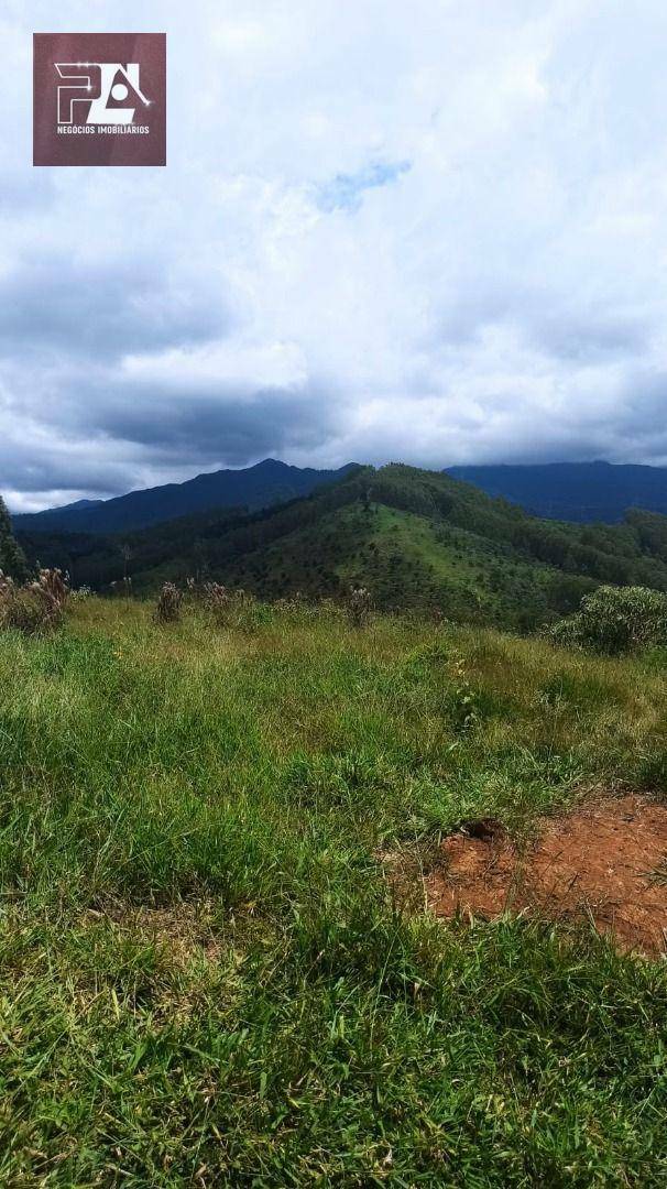 Fazenda à venda com 4 quartos, 1452000M2 - Foto 35