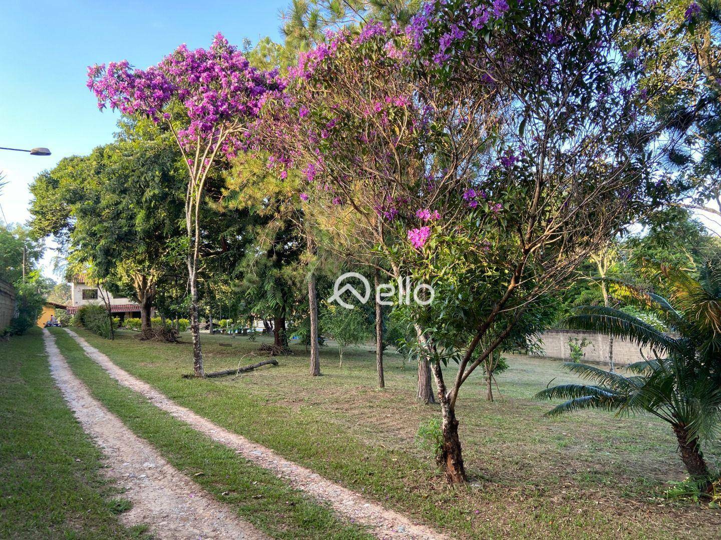 Sítio à venda com 6 quartos, 22700M2 - Foto 4