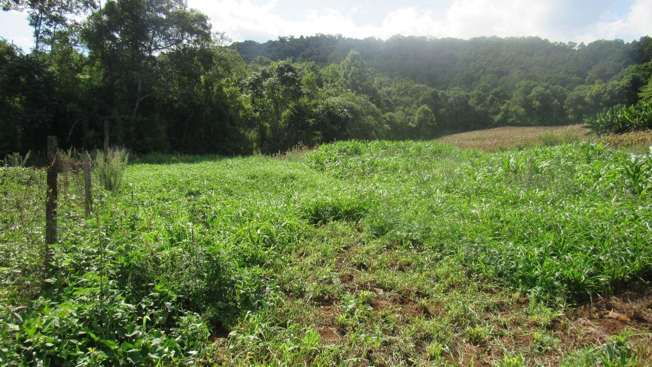 Loteamento e Condomínio à venda, 103000m² - Foto 43